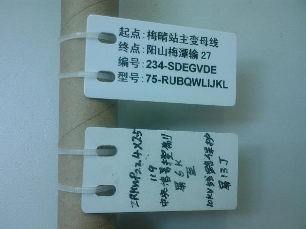 碩方SP300電力專用標(biāo)牌打印機(jī)