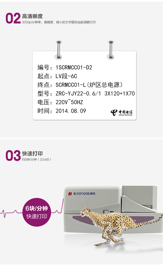 碩方SP300標(biāo)牌機(jī)