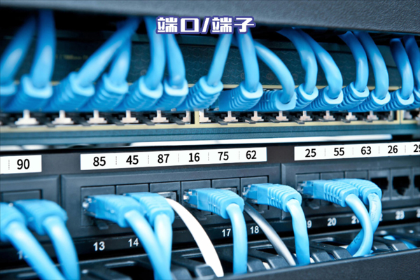 碩方TP系列線號機&mdash;&mdash;工業標識數字化領航者